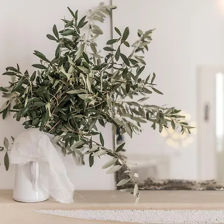 La Signura Bio Suites